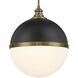 Vorey 1 Light 17.5 inch Coal And Oxidized Aged Brass Pendant Ceiling Light